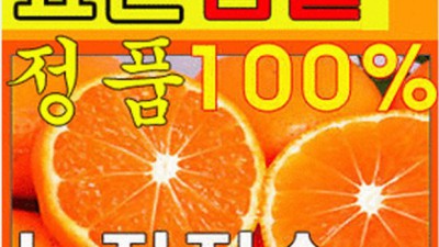 효돈농협 감귤, 제주 햇살 가득 담은 특별한 맛!🍊